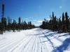Northeastern Ontario Snowmobile Trail