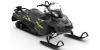 2019_SkiDoo_ExpeditionXtreme_800RE-TEC.jpg