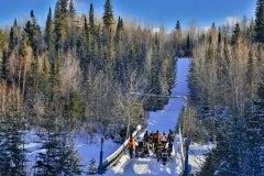 Cochrane-Snowmobile-Bridge