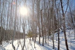 Winter-in-Ontario