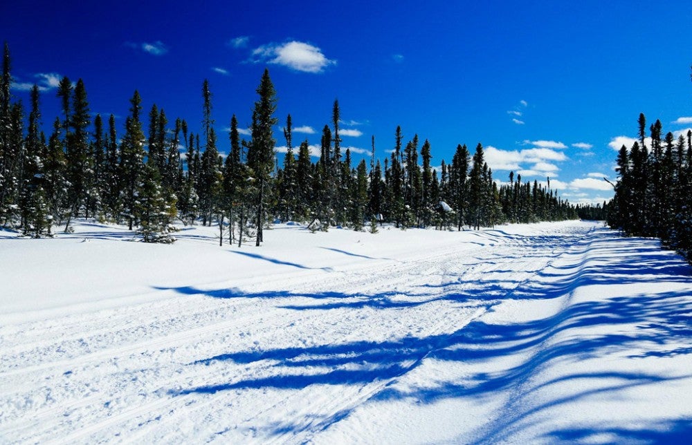 Northern Corridor Snowmobile Trails