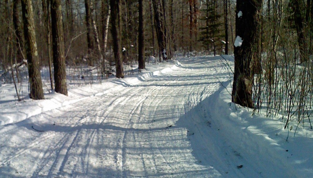 Narrow Snowmobile Trail