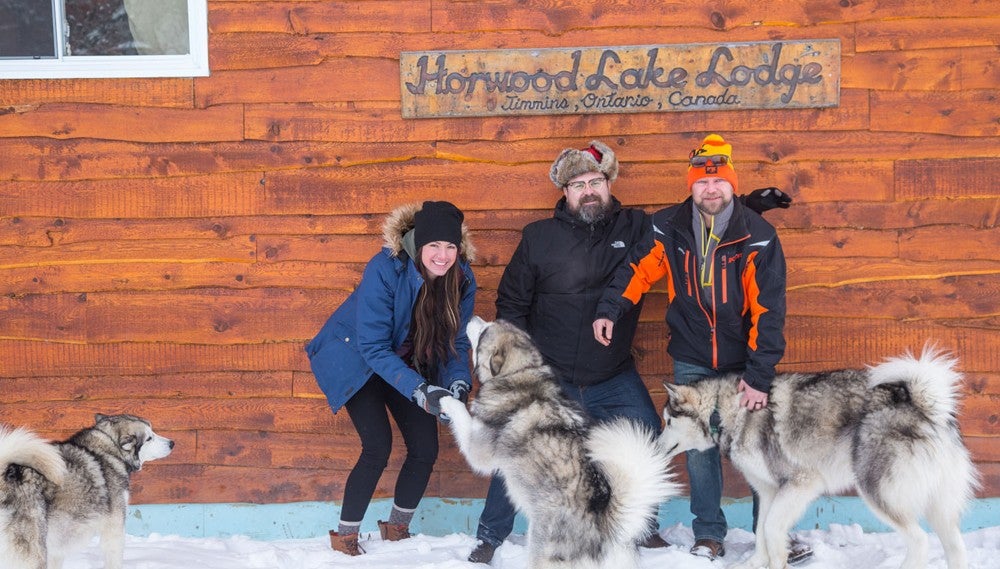 Horwood Lake Lodge Dogs