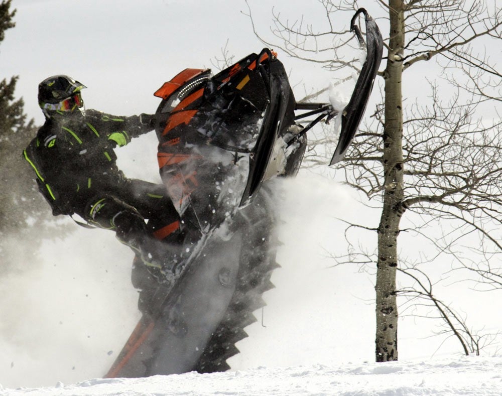 Arctic Cat King Cat