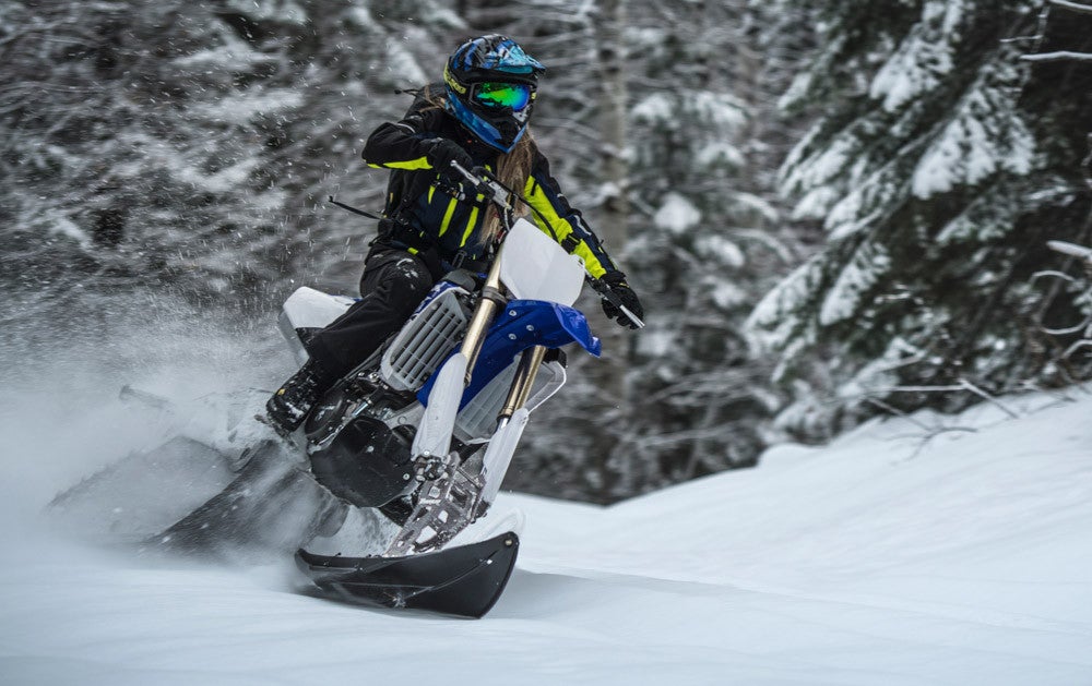 2019 Timbersled ARO 129 LE Action 2