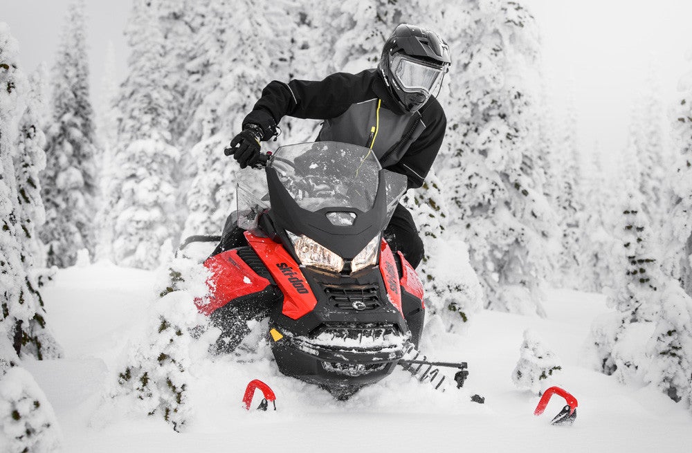 2019 Ski-Doo Renegade Enduro 900 ACE Turbo 3