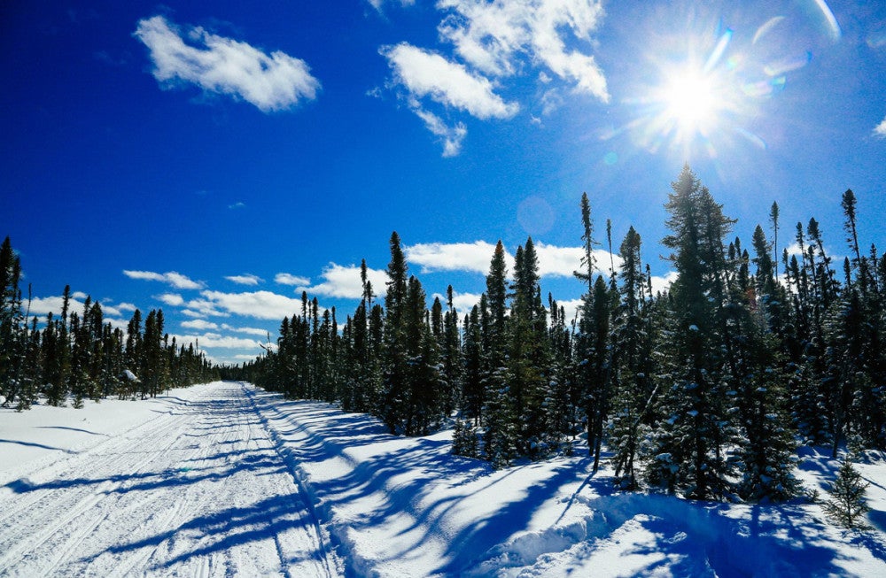 Ontario Snowmobile Rentals Center