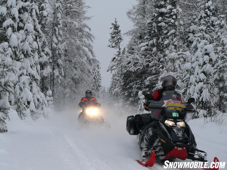 Fresh snow in the Kawarthas.