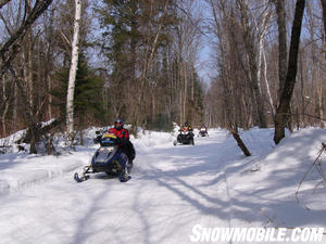 Forest access roads make for prime riding.