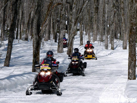 Many Kawartha trails run through hardwood forests.