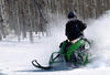 2012 Arctic Cat F1100 Sno Pro Action3