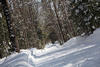 Bonfield Snowmobile Trail