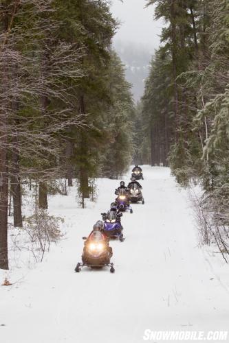 Tree Line Snowmobile Trail