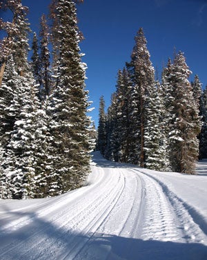 Without SnoPlan and clubs we wouldn’t have groomed trails. 