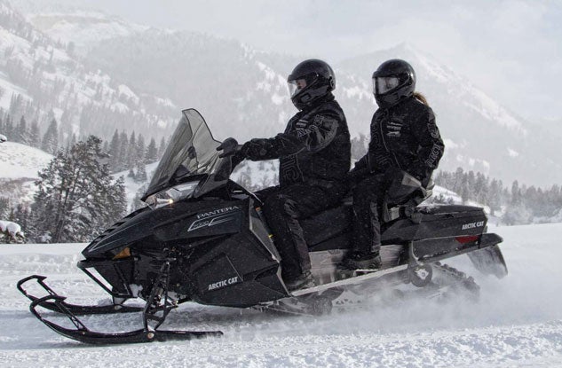 2015 Arctic Cat Pantera