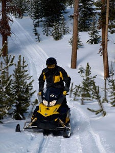 Trees line both sides of many trails to catch unwary riders.