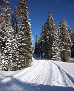 Mountain Snowmobile Trail