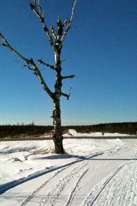 Trails can be lonely, solitary places at groomer speeds.