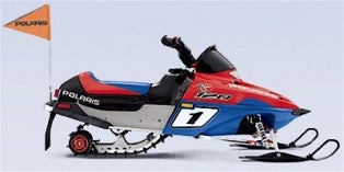 2006 Polaris PRO X 120